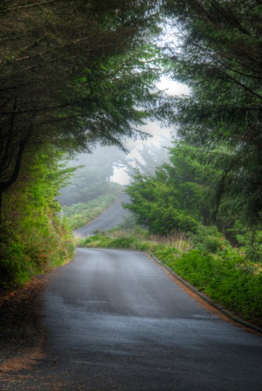 Maralee_Park_Day153_00002  A foggy road