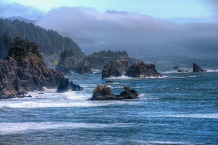Maralee_Park_Day153_00005 Near Cape Sebastian