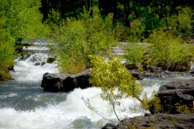 Maralee_Park_Day153_00008  Rogue River
