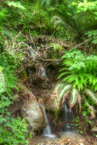 Maralee_Park_Day154_00016 Along the Rogue River