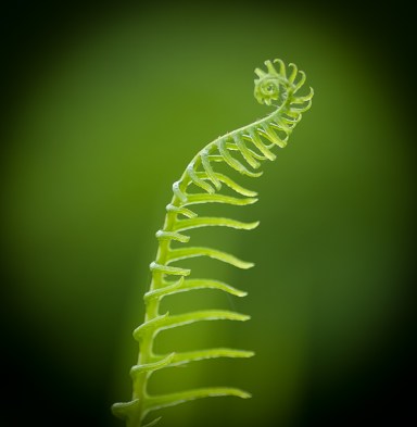 Maralee_Park_Day155_00012