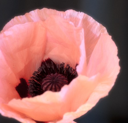 Maralee_Park_Day159_00001