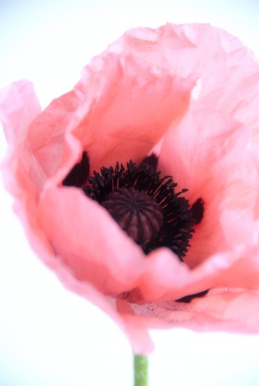 Maralee_Park_Day159_00003