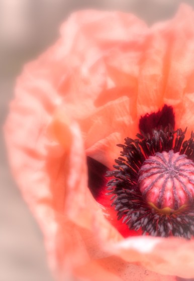 Maralee_Park_Day159_00004