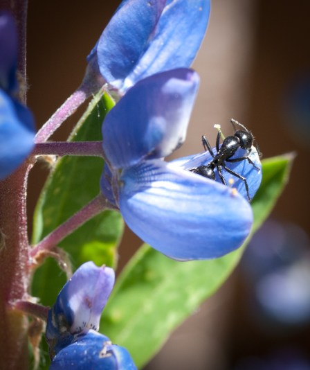 Maralee_Park_Day161_00001