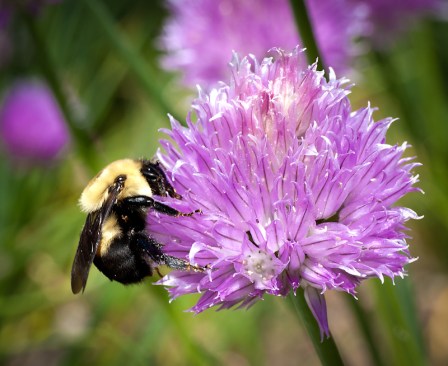 Maralee_Park_Day161_00002