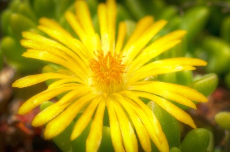 Maralee_Park_Day161_00003