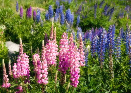 Maralee_Park_Day162_00002