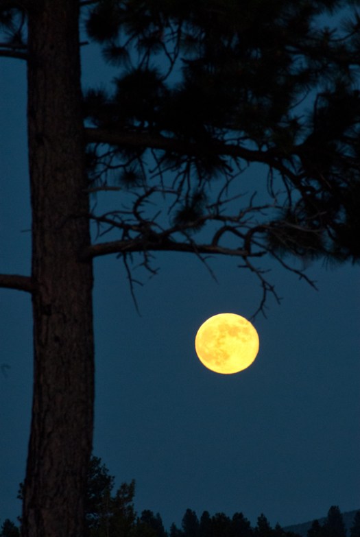 Maralee_Park_120703_29271-Edit