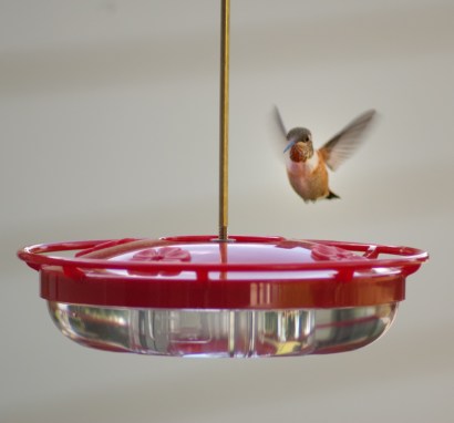 Maralee_Park_Day 192_00004 Maralee_Park_Day 192_00004