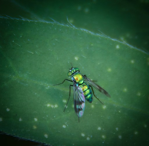 Maralee_Park_Day 193_00002