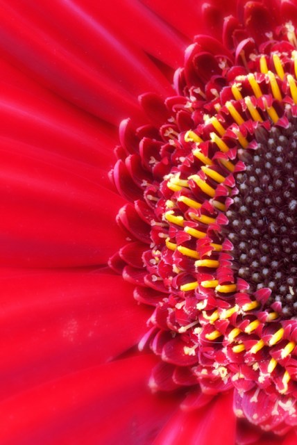 Maralee_Park_Day 194_00002