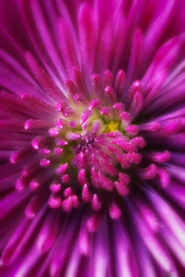 Maralee_Park_Day 194_00003