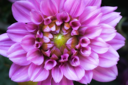 Maralee_Park_Day 195_00002