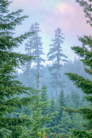 Maralee_Park_Day 197_00001