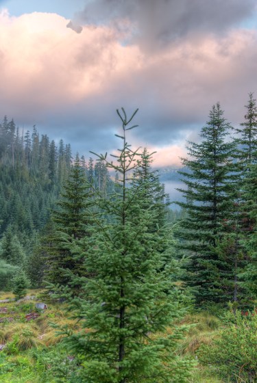 Maralee_Park_Day 197_00003