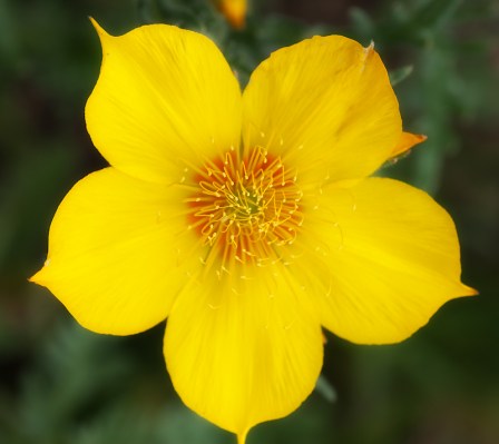 Maralee_Park_Day 198_00004