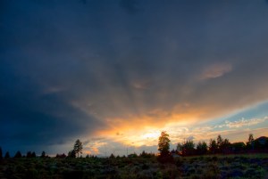 Maralee_Park_Day 199_00001