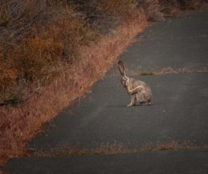 Maralee_Park_Day 199_00002