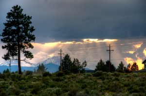 Maralee_Park_Day 199_00003