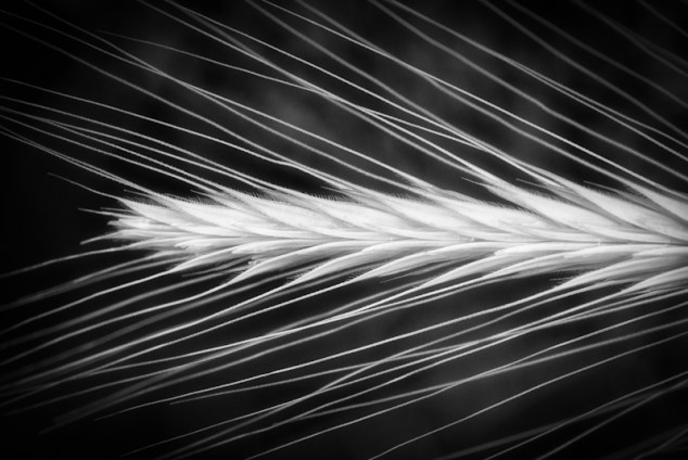 Maralee_Park_Day 200_00001