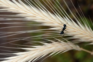 Maralee_Park_Day 200_00002