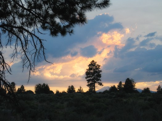 Maralee_Park_Day 201_00002