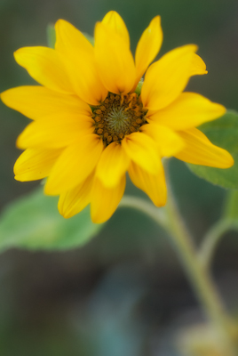 Maralee_Park_Day 205_00003