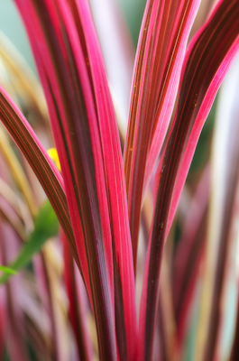 Maralee_Park_Day 207_00003