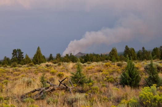 Fire plume from our front yard Fire plume from our front yard