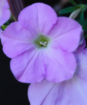 Maralee_Park_120823_33286-Edit