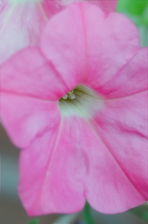 Maralee_Park_120823_33309-Edit