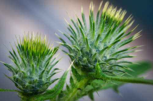 Maralee_Park_Day 223_00001 Maralee_Park_Day 223_00001