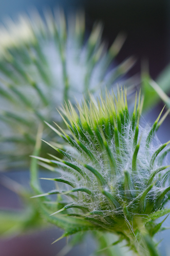 Maralee_Park_Day 223_00002 Maralee_Park_Day 223_00002