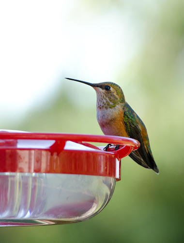 Maralee_Park_Day 224_00002