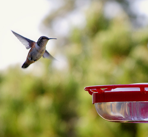 Maralee_Park_Day 224_00002