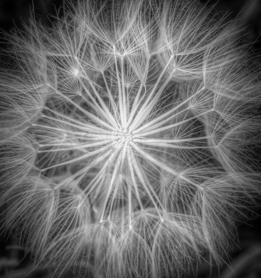 Maralee_Park_Day 226_00002