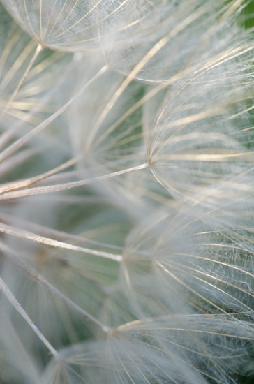 Maralee_Park_Day 226_00003