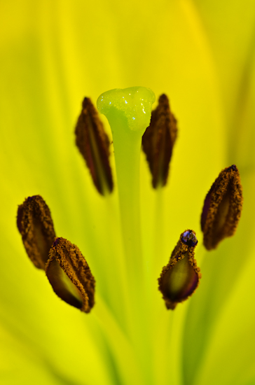 Maralee_Park_Day 227_00001