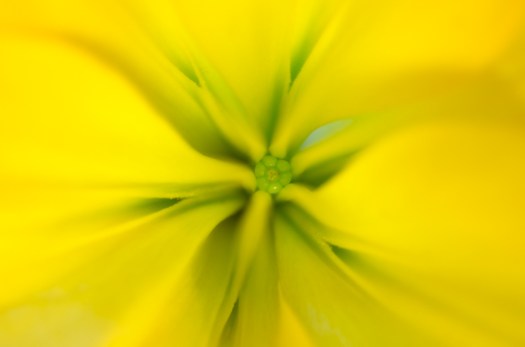 Maralee_Park_Day 227_00003