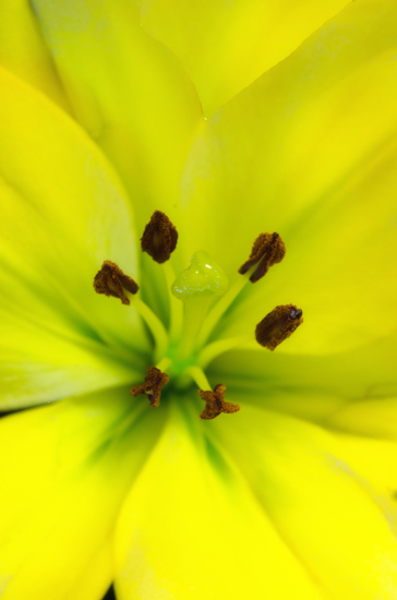 Maralee_Park_Day 227_00004