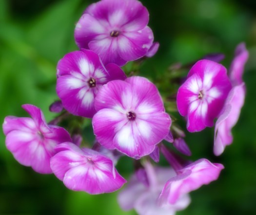 Maralee_Park_Day 229_00001