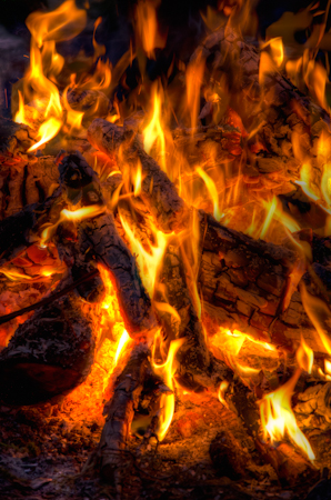 Maralee_Park_Day 237_00006