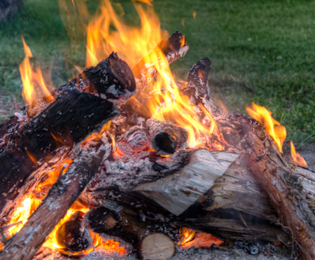 Maralee_Park_Day 237_00008