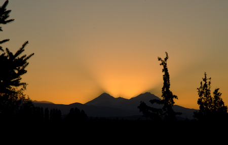 Maralee_Park_Day 237_00010