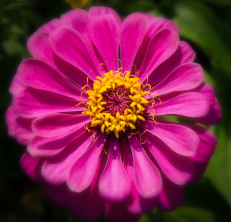 Maralee_Park_Day 242_00001