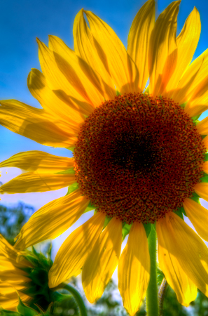 Maralee_Park_Day 242_00003