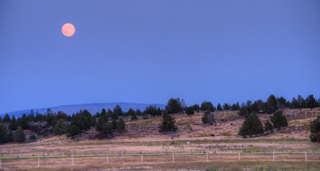 Maralee_Park_Day 244_00001 - Moonrise