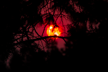 Maralee_Park_Day 244_00002 - Sunrise