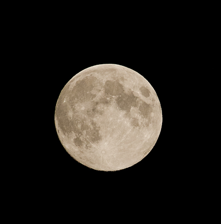 Maralee_Park_Day 244_00007